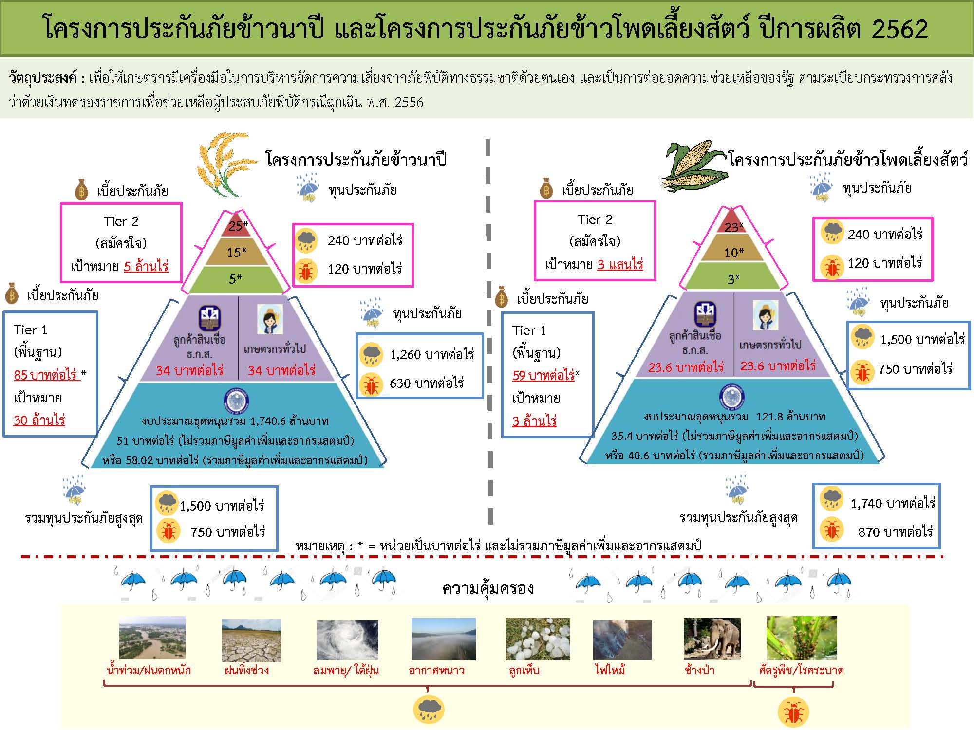 024-2562-Infographic-แถลงข่าว-โครงการประกันภัยข้าวนาปีและโครงการประกันภัยข้าวโพดเลี้ยงสัตว์-ปีการผลิต-2562.jpg
