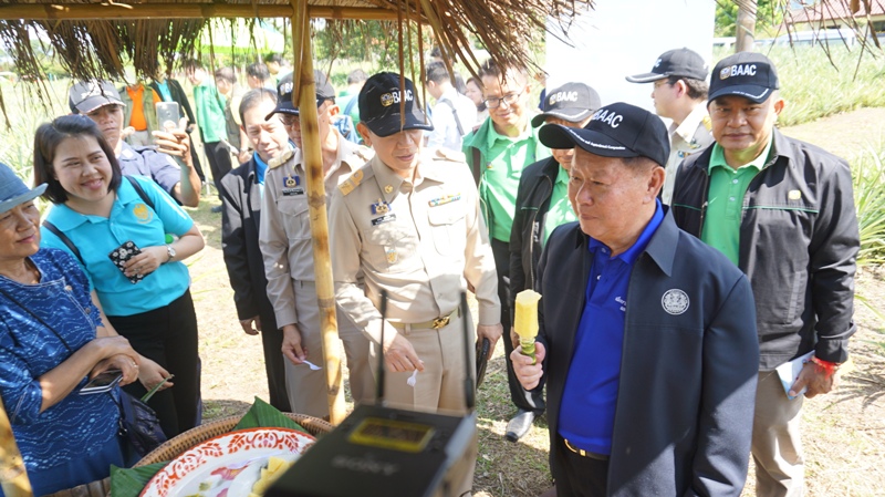 รูปภาพประกอบเนื้อหา
